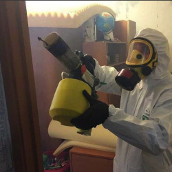 Уничтожение клопов в квартире. Кропоткин